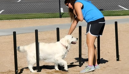 Storey Bark Park