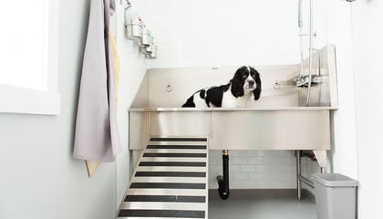 Stainless Steel Dog Grooming Sinks