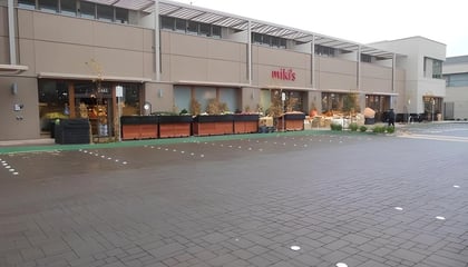 Alma Plaza