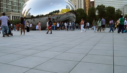The Chicago Bean