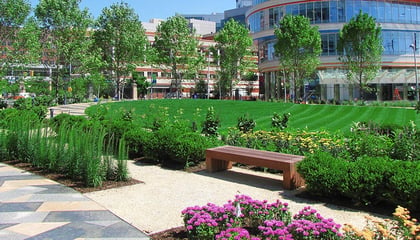 Children's Hospital of Philadelphia
