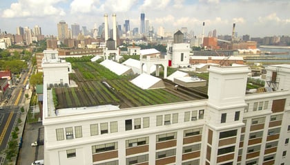 Brooklyn Grange Rooftop Farm #2 at Brooklyn Navy Yard, Building No. 3 