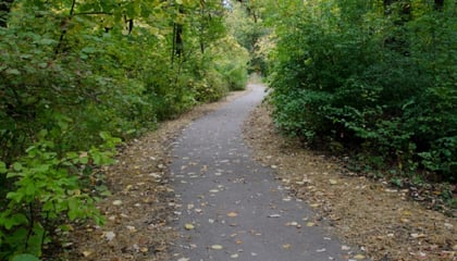 Pathway Through Perkins Woods