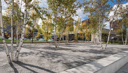 Akron Art Museum Gardens