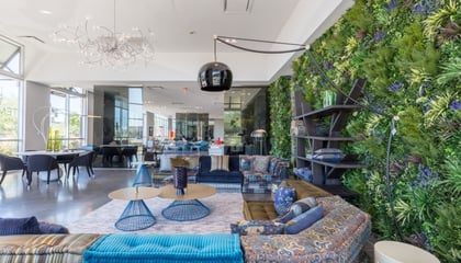 Roche Bobois