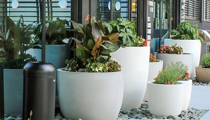 Emmi Midtown— Atlanta, GA