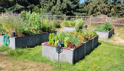 Eugene Community Garden