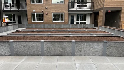Durable GreenBed Seattle Rooftop 
