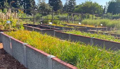 Eugene Seed Nursery