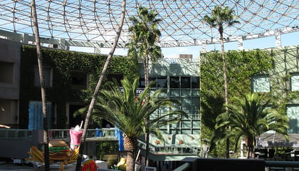 Universal CityWalk Trellis System