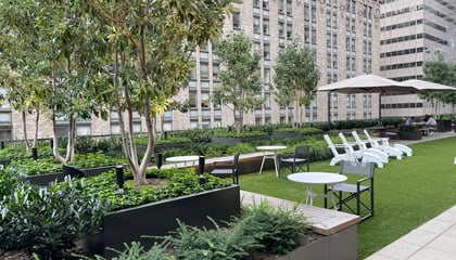 A Park Avenue's Rooftop Oasis