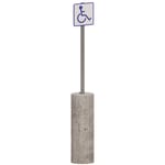 Handicapped Parking Sign - Detail 2