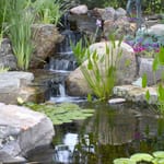 View Pond and Stream