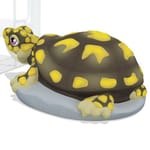 View 7027 - Box Turtle