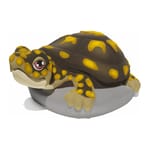 View 7027 - Box Turtle