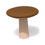 View 38238 - Brown Mushroom