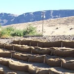 View BioD-Block™