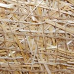 View BioD-Straw