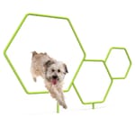 View Dog Triple Hoops