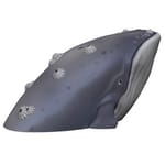View Whale Climber