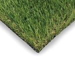 View Fescue Elite