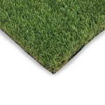View Fescue Pro