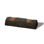 View Log Balance Beam