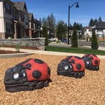 View Ladybug Stepper