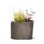 View Tree Trunk Planter
