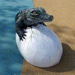View Baby Crocodile Climber