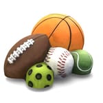 View Ball Climber