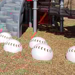 View Baseball Stepper