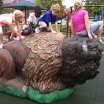 View Buffalo Climber