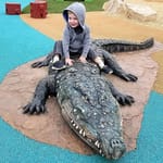 View Crocodile Climber