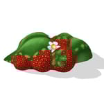 View Strawberry Climber