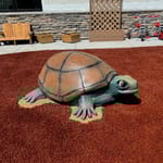 View Turtle Climber