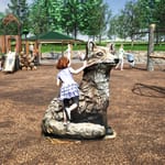 View Fox Climber