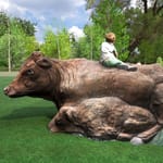 View Brown Cow Climber