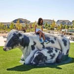 View Spotted Cow Climber