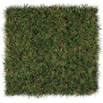 View ForeverLawn® Select EL