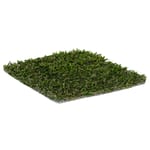 View Playground Grass™ Academy