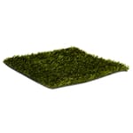 View ForeverLawn GolfGreens® Fringe