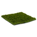 View ForeverLawn® Fusion Pro™