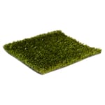 View ForeverLawn® Fresh™