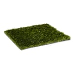 View SportsGrass® Trainer