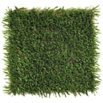 View SportsGrass® Edge XPS