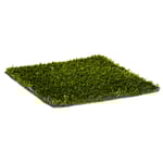 View BocceGrass™ Play