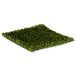 View ForeverLawn GolfGreens® Pure Shot