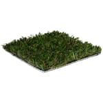 View SportsGrass® Max XF