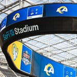 View Bird Barrier: Oculus Scoreboard - StealthNet® System